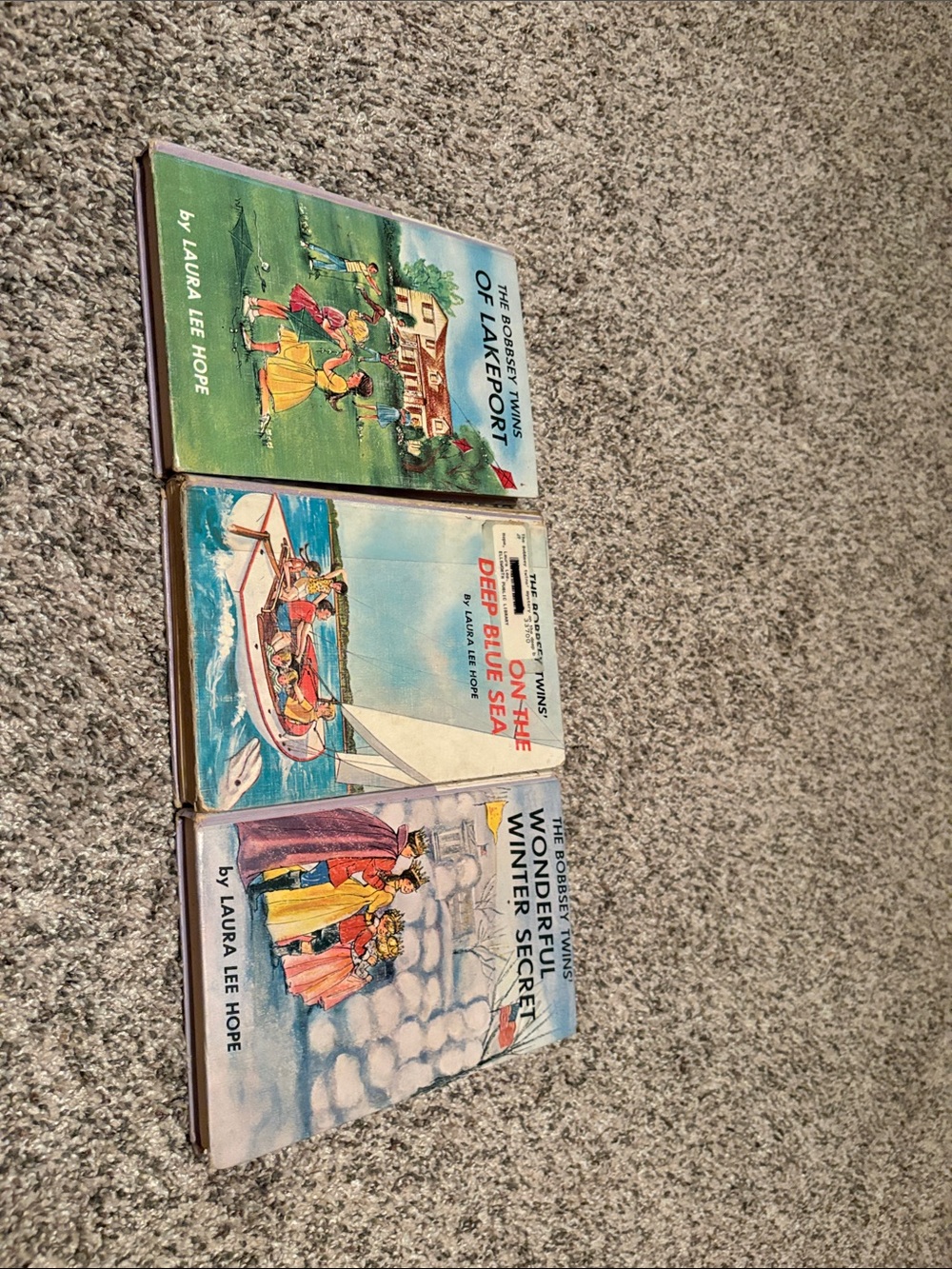 The Bobbsey Twins books